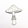 brož houba