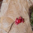 Minka - Brož krab červený