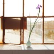Váza Cibulka s dekorem - TABLO